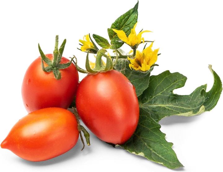 Actual product image Véritable Bio-Kirschtomaten (Vegetable seeds)