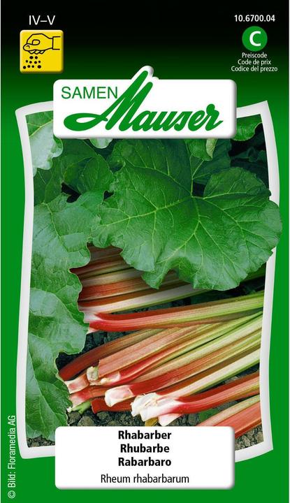 Actual product image Samen Mauser Rhubarb (Vegetable seeds)