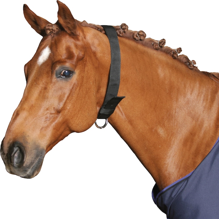 Actual product image Kerbl Neck strap