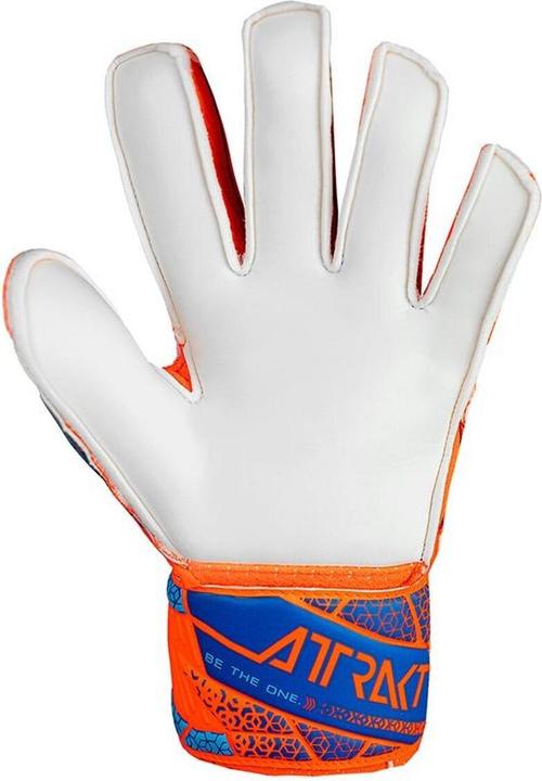 Actual product image Reusch Attrakt Solid (4)