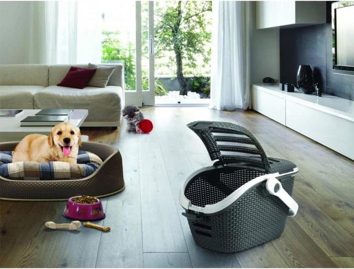 Actual product image Curver Transport box (Cat, Dog, Can be opened completely)