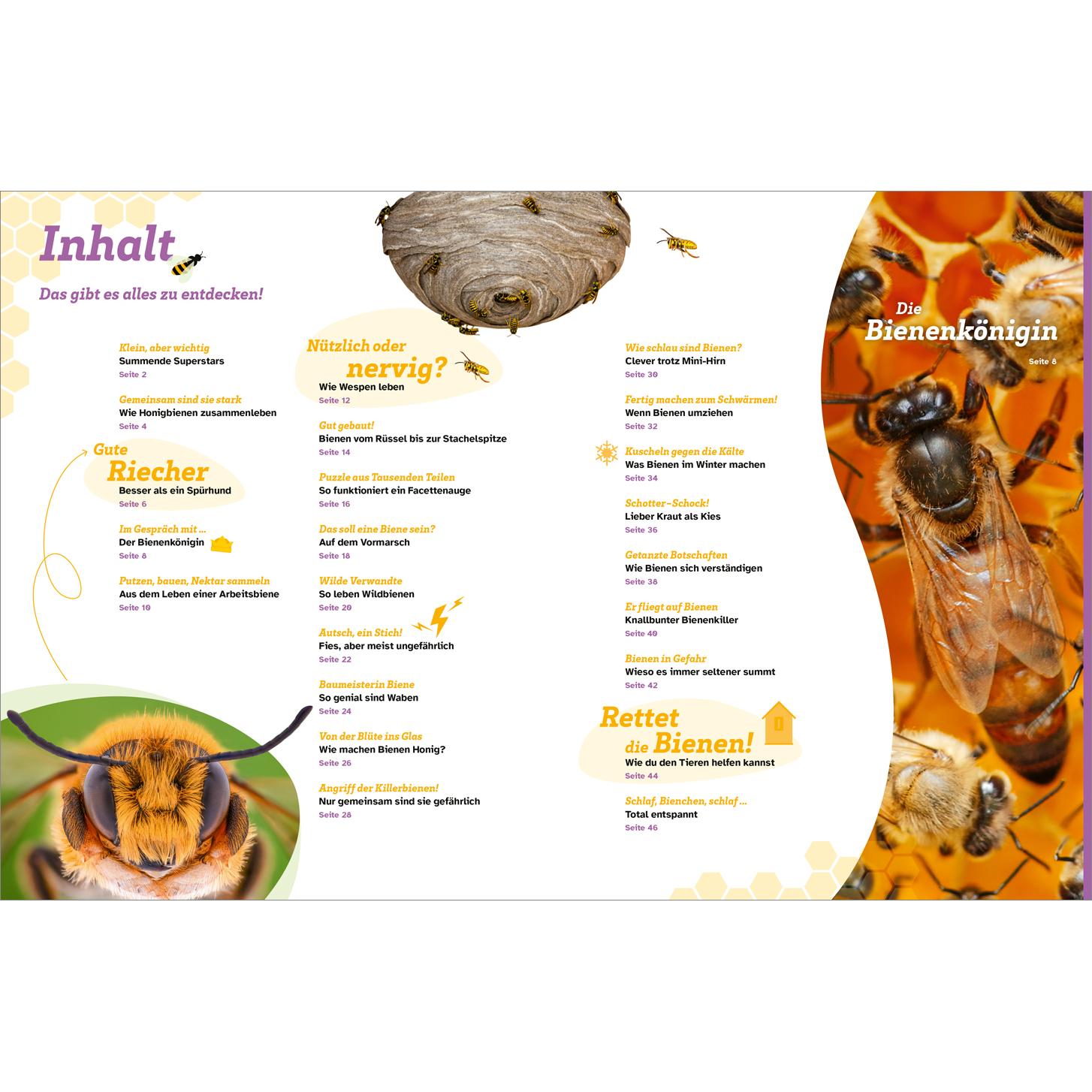 Thumbnail - WAS IST WAS Bienen. Summende Genies, Kinderbücher von Nicole Röndigs