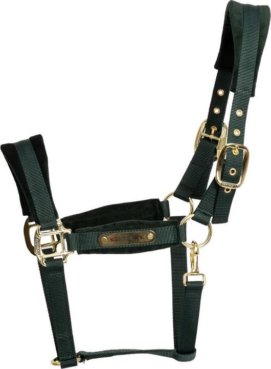 Kentucky Horsewear Nylon horse halter