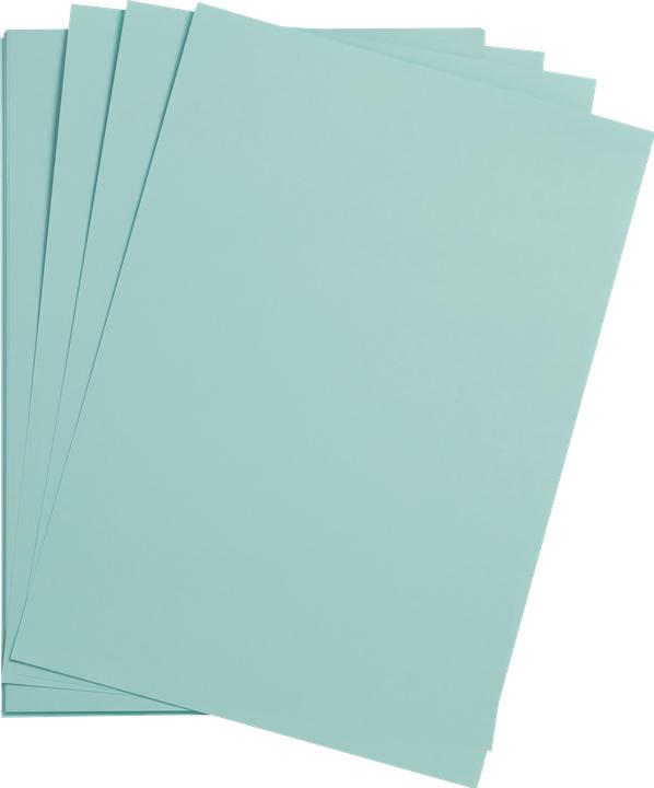 Immagine prodotto Clairefontaine Disegno colorato (1595 g/m², 2 x)