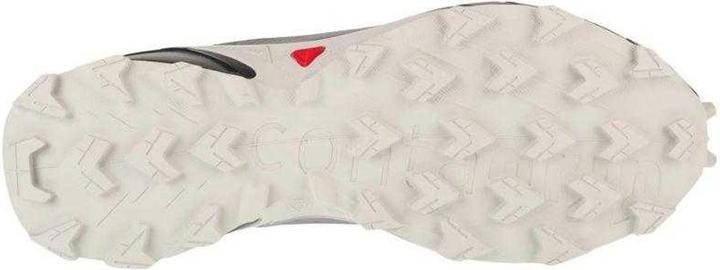 Produktbild Salmon Alphacross 5 Schuhe (47)