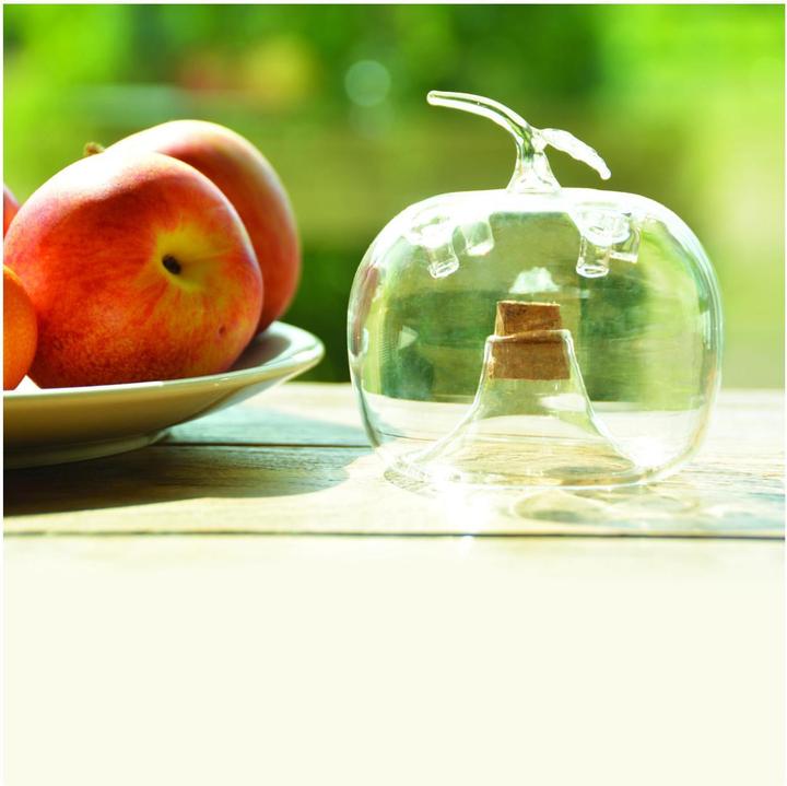 Produktbild Esschert Design Fruchtfliegenfalle Apfel