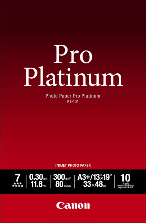 Canon PT-101 Pro Platinum (300 g/m², A3+, 10 x)