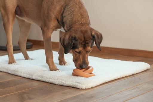 Actual product image Beeztees Sumo Team (Dog chew toy)