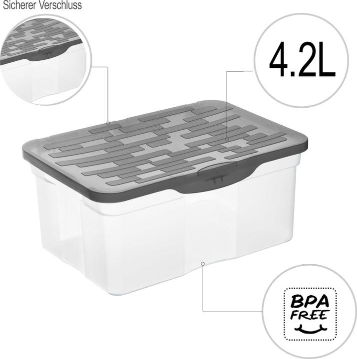Immagine prodotto Rotho Ranger (19 x 12 x 26 cm, 4.20 l)
