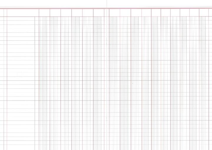 Actual product image Rnk Publisher Column book, DIN A4, 16 columns (30 x)