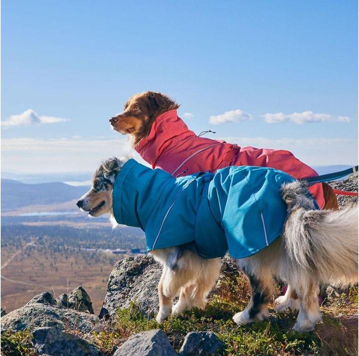 Actual product image Hurtta Expedition Parka II, ocean 60 (60, Dog coat)