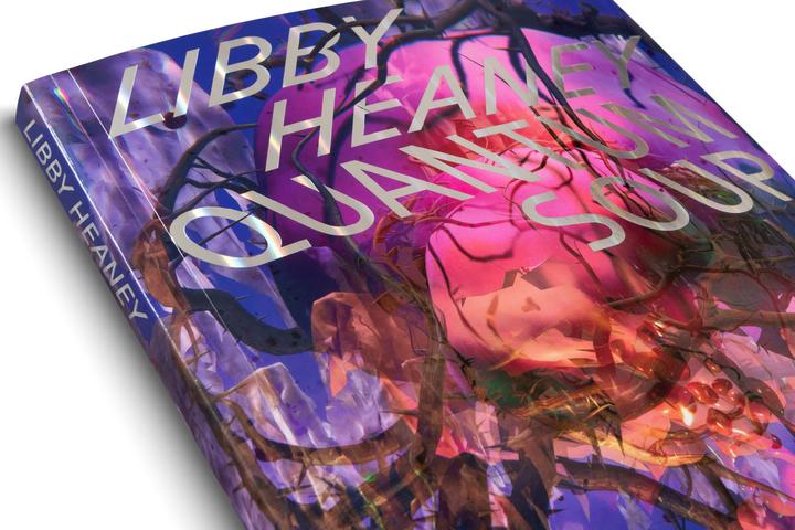 Produktbild Libby Heaney (Deutsch, Englisch, Amira Gad, Ariane Koek, Hauser Schwarz, Julia Greenway, Libby Heaney, Paul Luckraft, Sabine Himmelsbach, 2024)