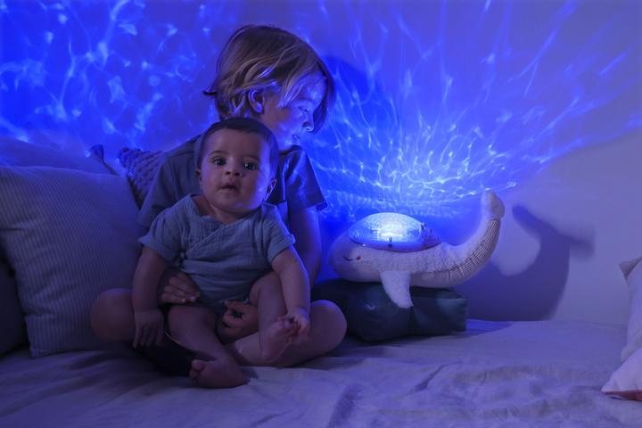 Actual product image Cloud B Cloudbox Tranquil Whale