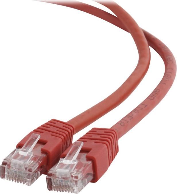 Rot