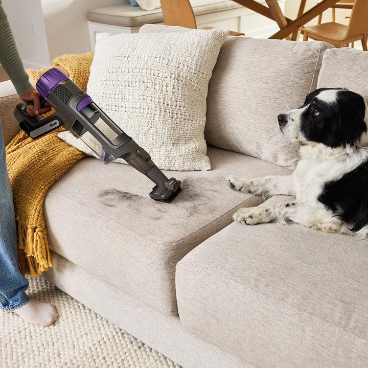 Actual product image Shark Detect Pro Max