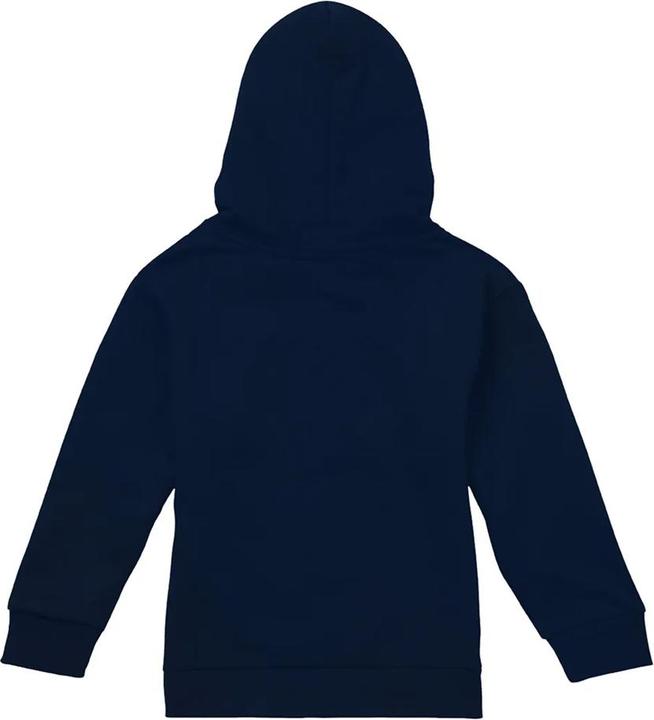Image du produit Disney Sweat à capuche pour enfants Mickey Mouse Warp Check (116)
