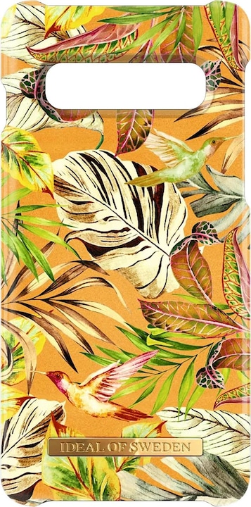 Mango Jungle