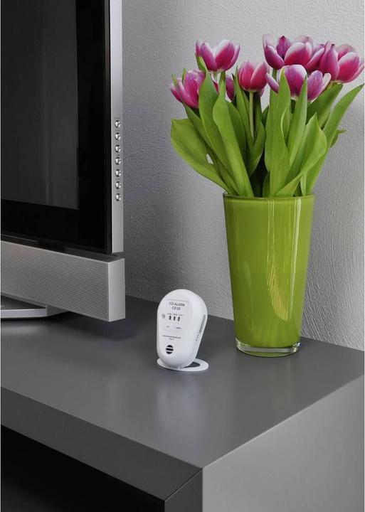 Image du produit Pentatech Kohlenmonoxidmelder CO30