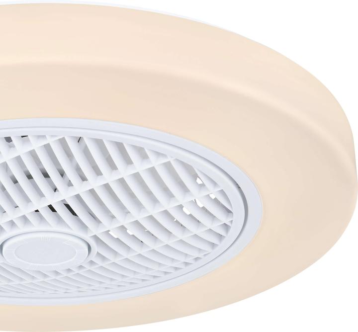 Actual product image Globo Joey