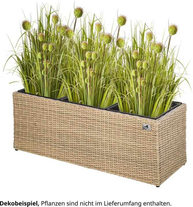 Produktbild Gartenfreude Pflanzkübel (36 cm)
