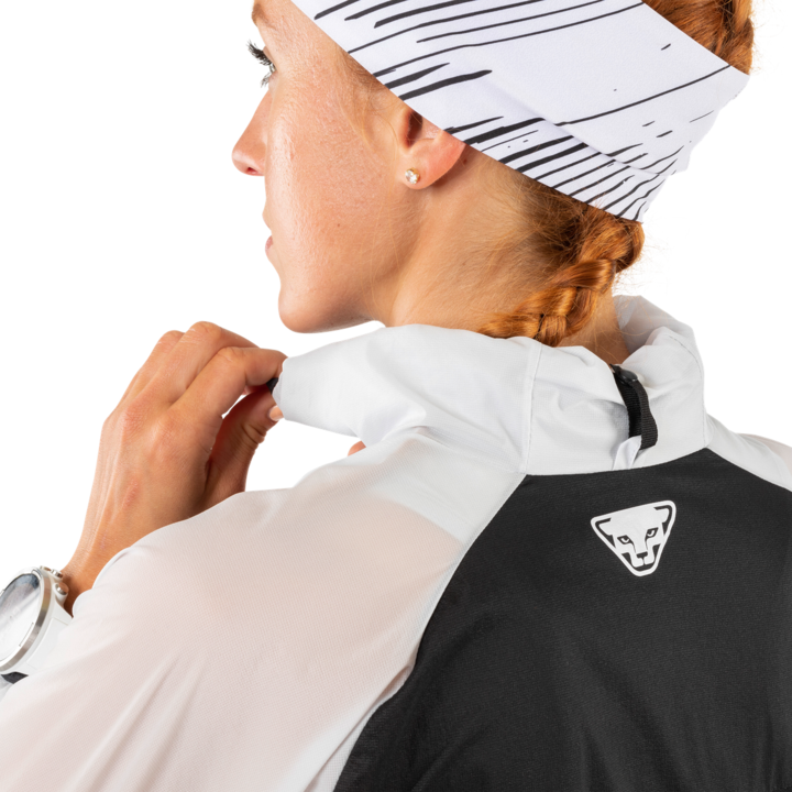 Actual product image Dynafit Alpine Wind 2 (40, L)