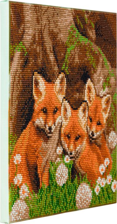 Actual product image Craft Buddy Fox Cubs