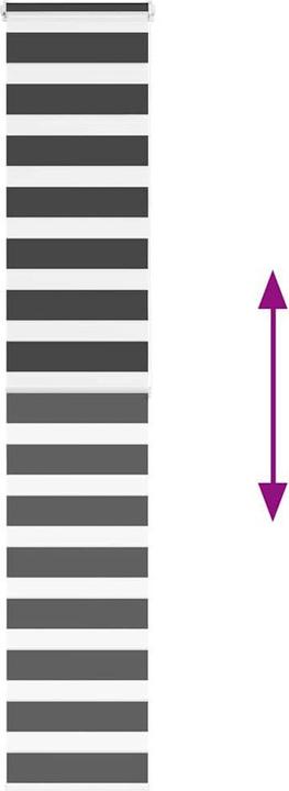 Produktbild vidaXL Zebra-Jalousie (40 x 200 cm)