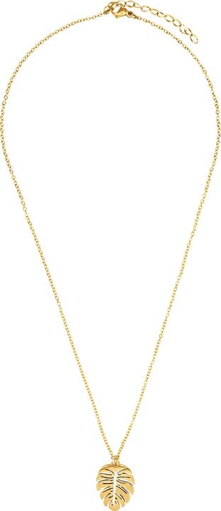 Immagine prodotto Heideman Tim color oro (100% acciaio inossidabile)