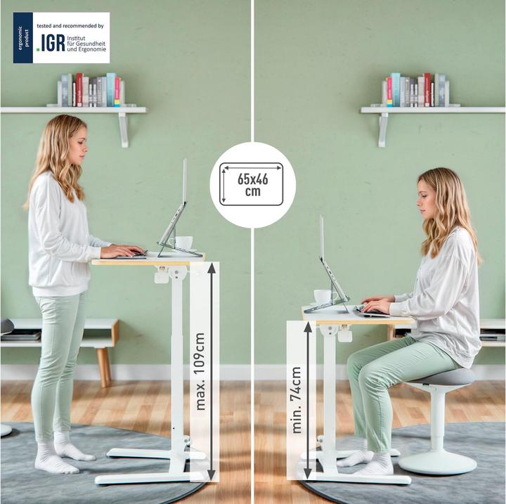 Image du produit Leitz Poste de travail Ergo (65 x 46 x 109 cm)
