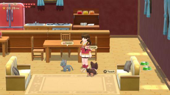 Actual product image Mindscape Harvest Moon: Home Sweet Home (Special Edition) (Switch, EN)
