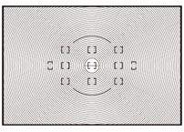 Actual product image Nikon A Viewfinder disc F6