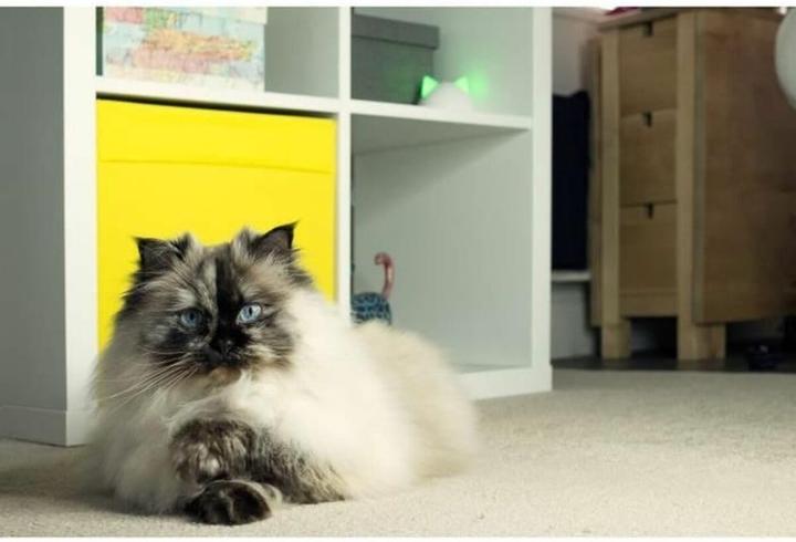 Actual product image SureFlap Connect Hub