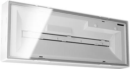 Actual product image Esylux LED safety light ELX 3W 4000K 60lm EN10077340