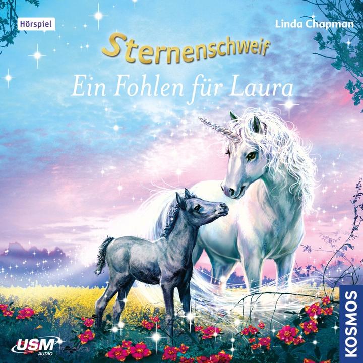 Actual product image A foal for Laura (Linda Chapman, United Soft Media Verlag GmbH, German)