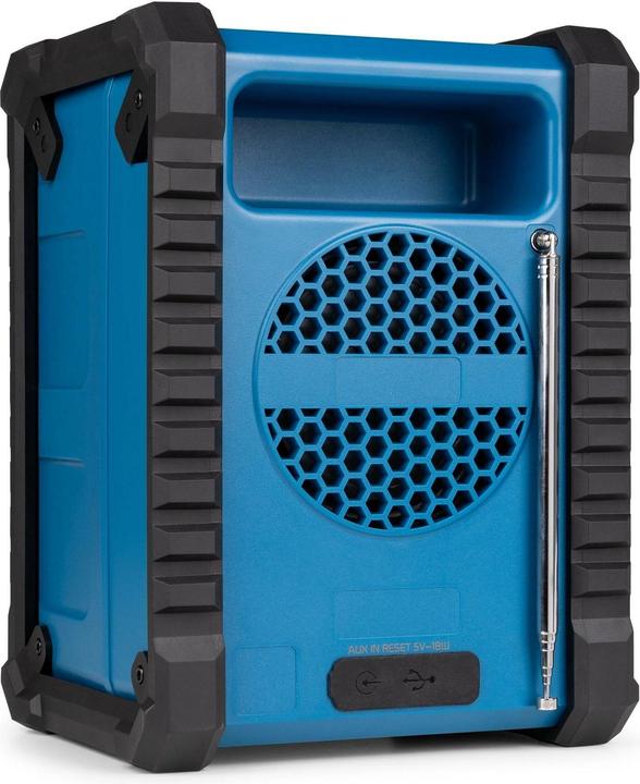 Actual product image Audizio Temi (DAB+, FM, Bluetooth)