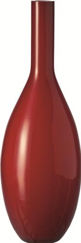 Leonardo Beauty (1 x)