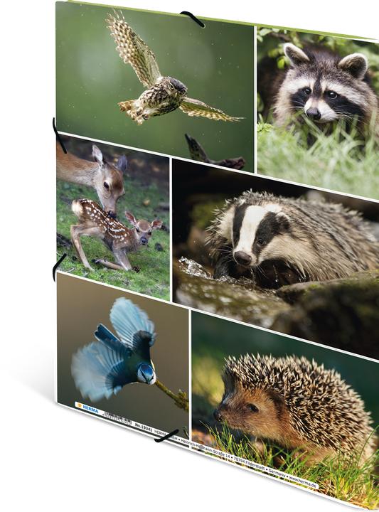 Produktbild HERMA Sammelmappe A4 Motiv (A4, 1x)