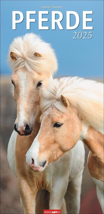 Produktbild Pferde Kalender 2025 (33 x 68 cm)