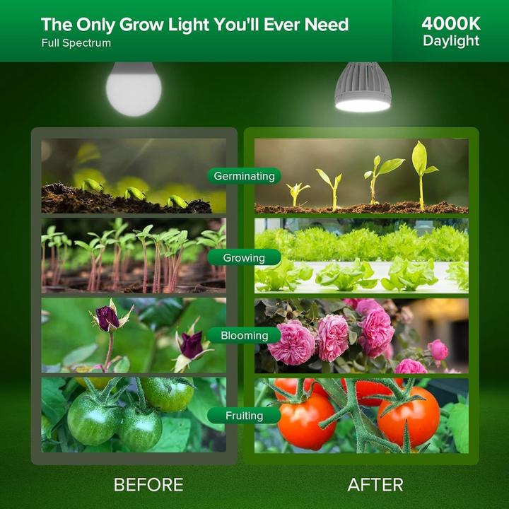Immagine prodotto Sansi Luce della pianta (LED, 220 V)