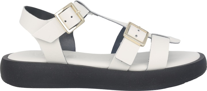 Actual product image Wonders Luz (36)