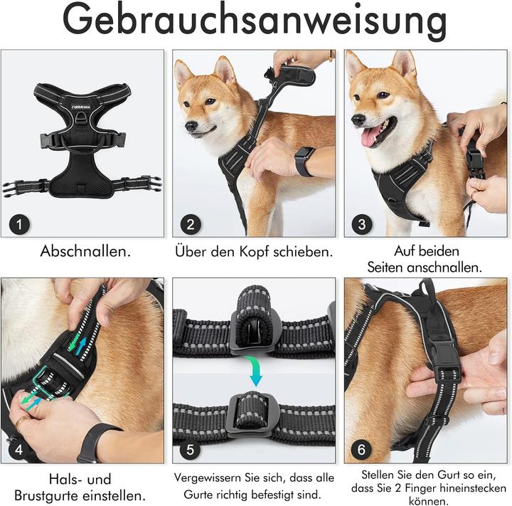 Actual product image Rabbitgoo No-pull dog harness (L, Dog, General)