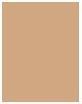 Actual product image Collistar Anti-Age Lifting (4 Dark Beige)