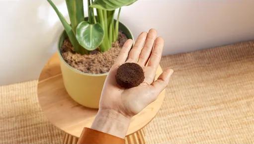 Image du produit Philips Baristina BAR500/00