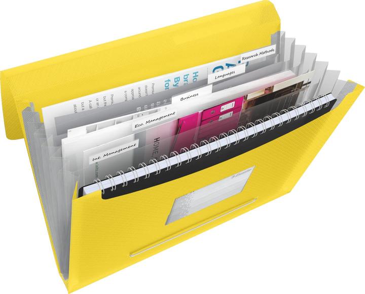 Produktbild Esselte Fächermappe VIVIDA (A4, 1x)