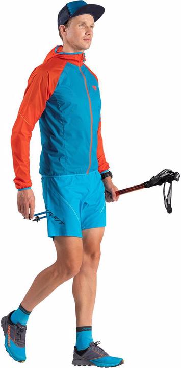 Actual product image Dynafit Alpine (40.5)