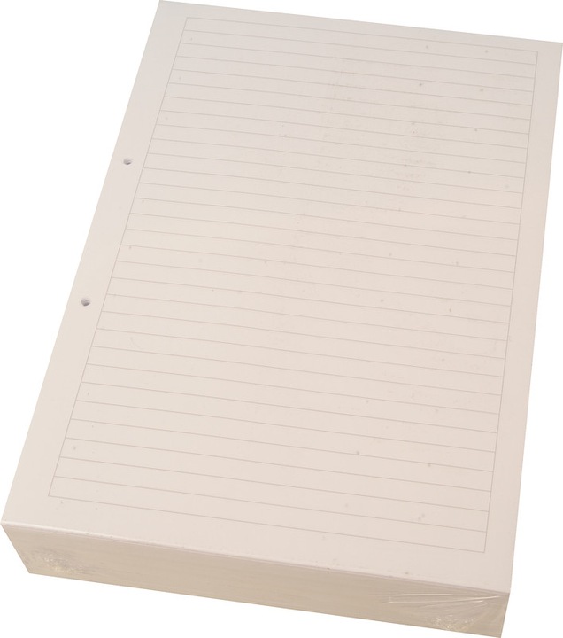 Actual product image Naturaline Ring binder inserts A4 (A4, Checked)