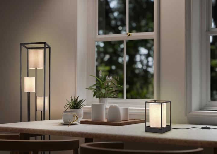 Image du produit Trio 403100317 Lampadaire ROSS 3x E27 (E27)