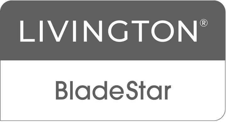 Actual product image Livington Knife sharpener