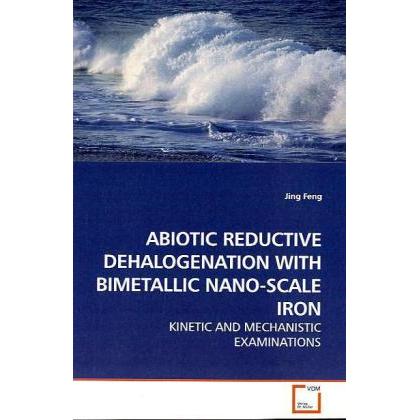 Abiotic Reductive Dehalogenation With Bimetallic Nano-Scale Iron, Fachbücher von Jing Feng