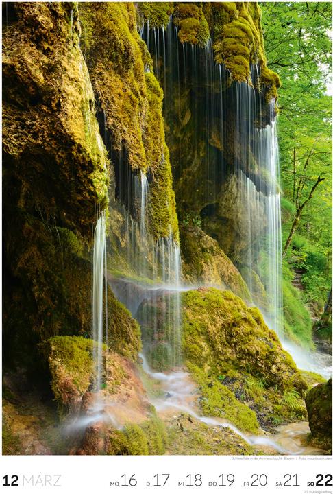 Actual product image Natur - Wochenkalender 2026